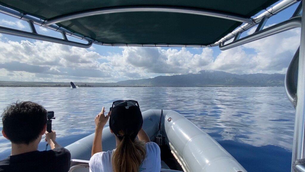 Image of a boat tour group on an Oahu whale watching tour. North shore whale watching tours are an excellent way to experience some of the marine life the islands have to offer.