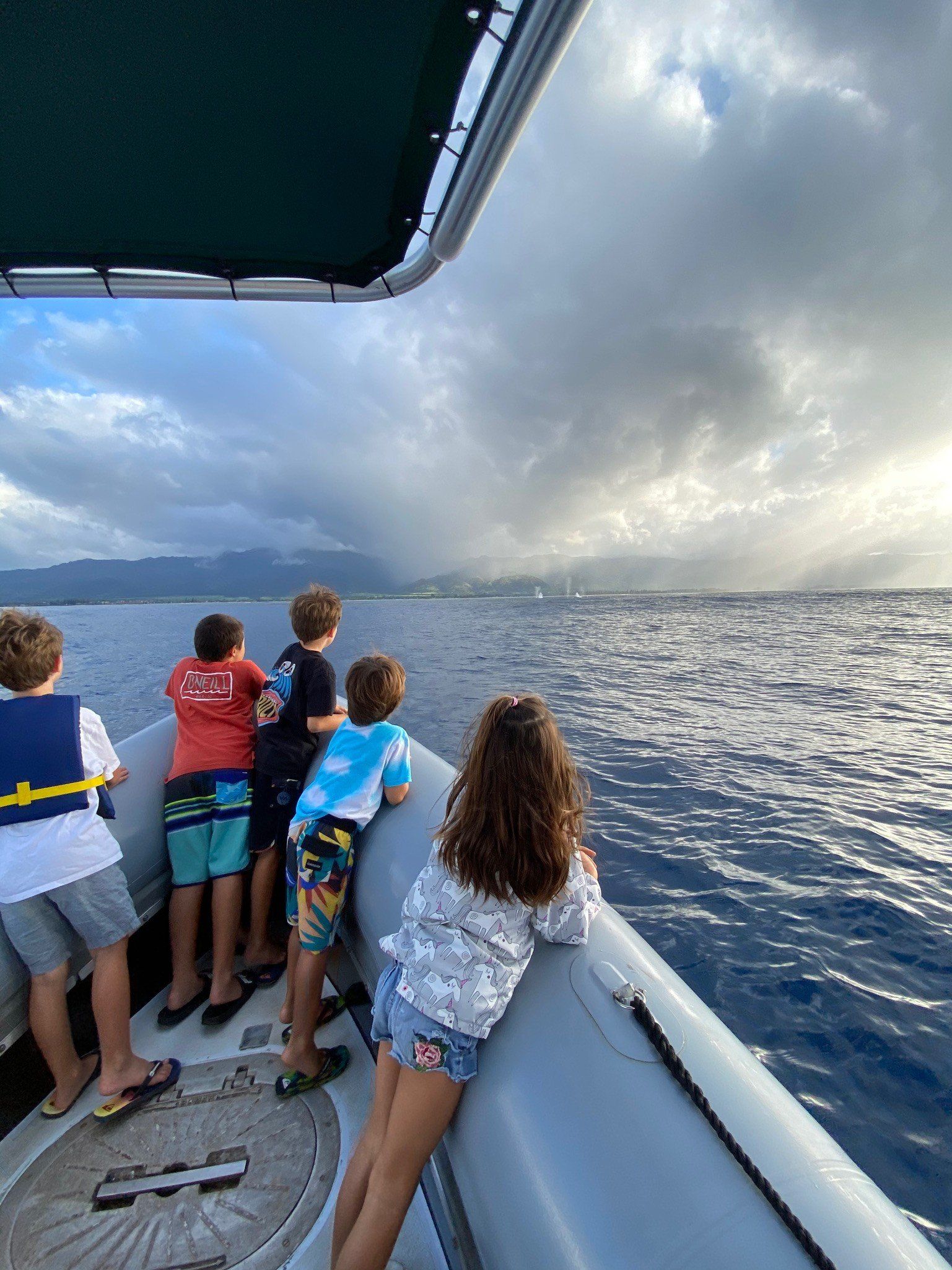 oahu boat tours, whale-watching and sightseeing of turtles, dolphins and sharks on the North Shore.
