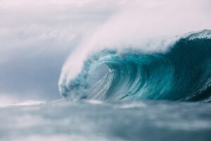Tour the biggest waves of the North Shore with our Oahu Big Wave Tour