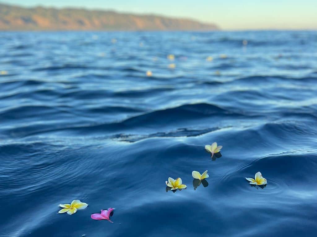 North shore funeral at sea, scattering ashes, Oahu, Hawaii.